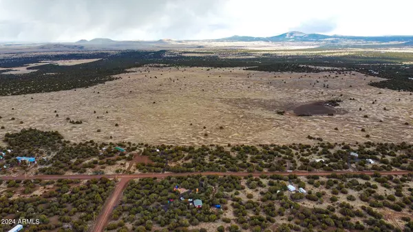 Vernon, AZ 85940,51 ACR 3199 -- #171