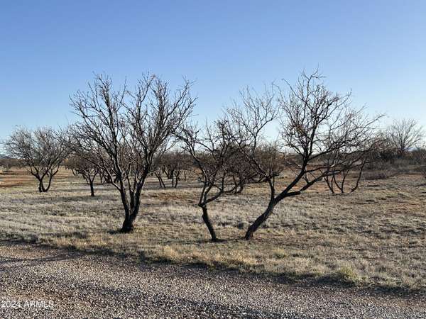 Hereford, AZ 85615,NONE -- #104-27-050M