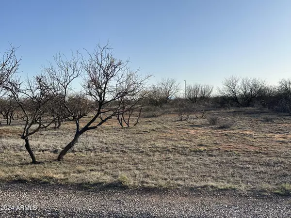 Hereford, AZ 85615,NONE -- #104-27-050M