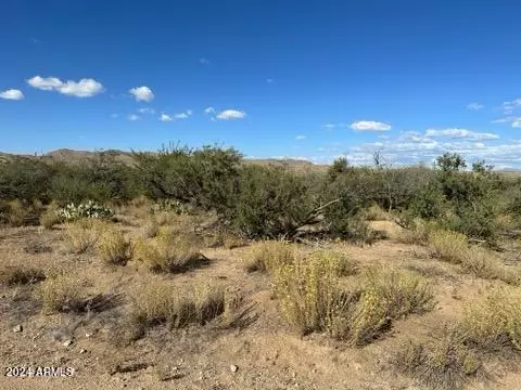 Congress, AZ 85332,0 W Traveler Way #35C