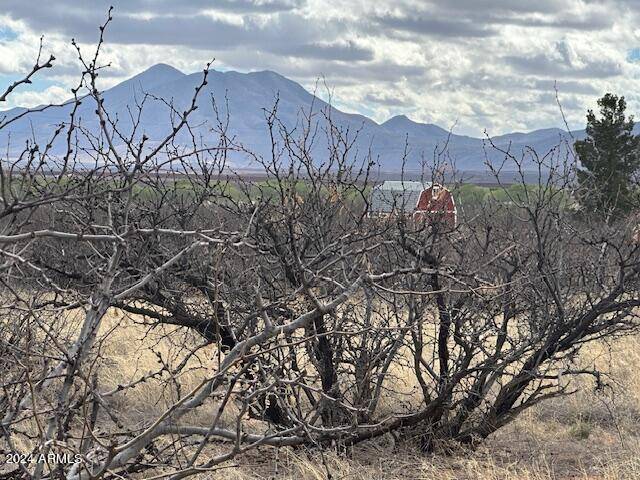 Hereford, AZ 85615,S Logans Run #18