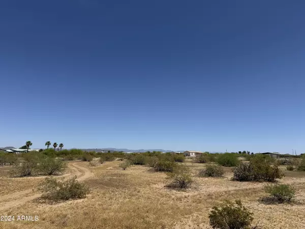 Wickenburg, AZ 85390,0 W Luray Road #-