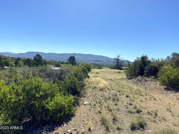 Peeples Valley, AZ 86332,18356 S REEVES Road #-