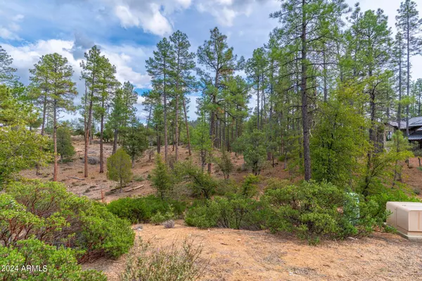 Payson, AZ 85541,3109 E Game Trail -- #250