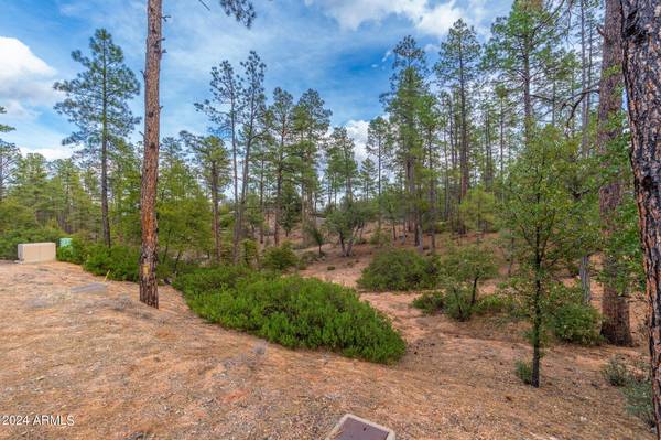 Payson, AZ 85541,3109 E Game Trail -- #250