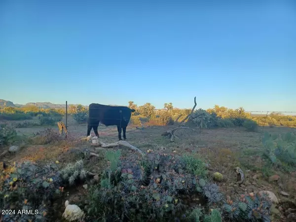 Gold Canyon, AZ 85118,7911 S OPEN TRAIL Lane