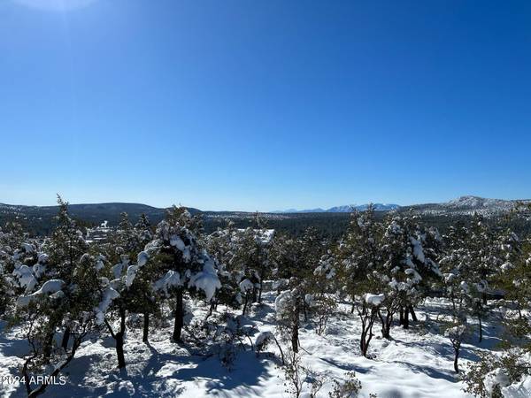 Pine, AZ 85544,4380 N Preserve Drive