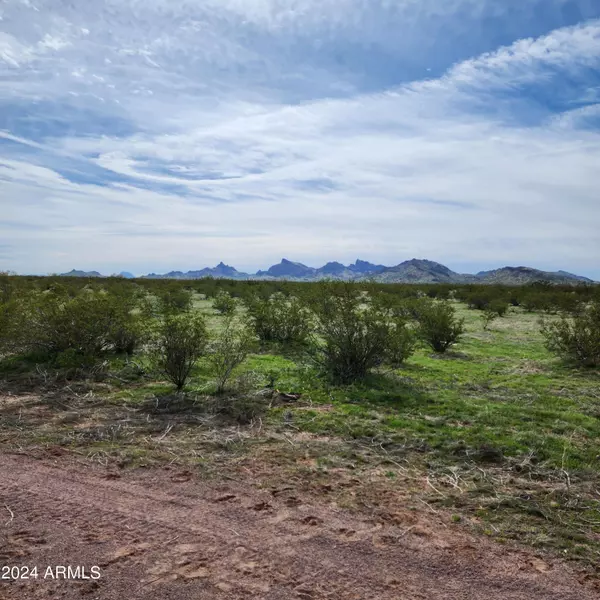 0 W Harmon Road #4, Eloy, AZ 85131