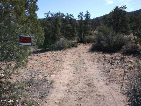 Ash Fork, AZ 86320,313 NE Deputy Shortline -- #313