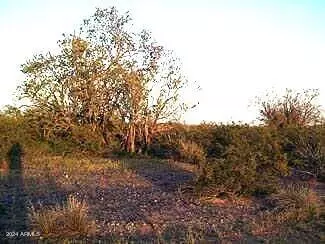 Unincorporated County, AZ 85354,418 W 418 Avenue #1017