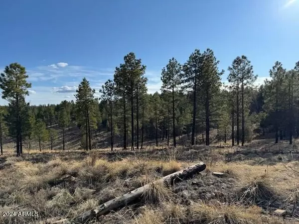 Happy Jack, AZ 86024,806 EAGLE VIEW Drive #29