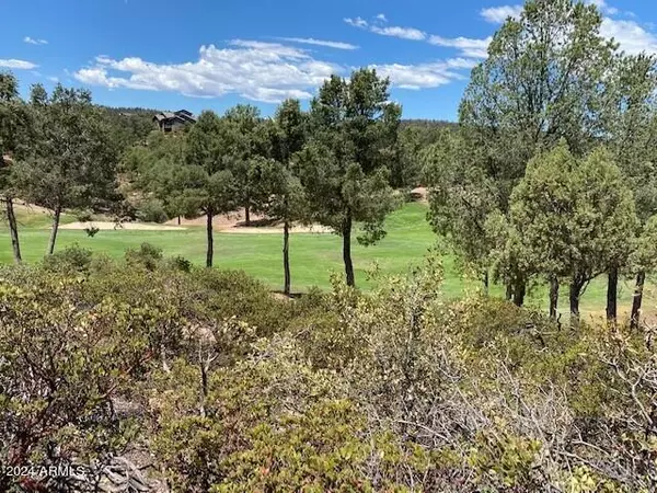 Payson, AZ 85541,210 S Rim Club Drive #36