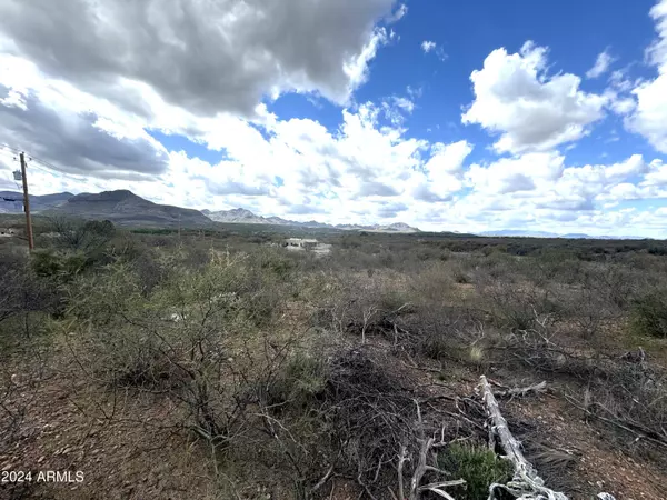 Rio Rico, AZ 85648,24 Camino Olympia -- #1