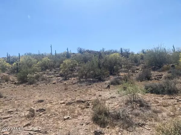 New River, AZ 85087,0 N 10 Street #-