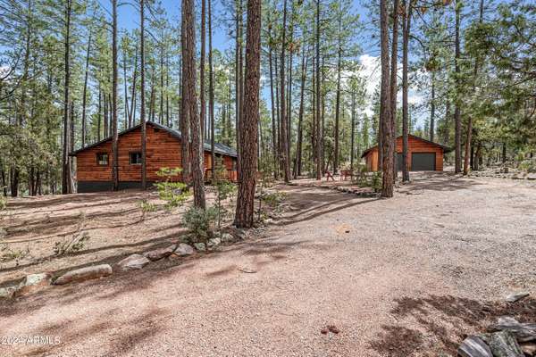 297 E BLACK BEAR Trail, Payson, AZ 85541