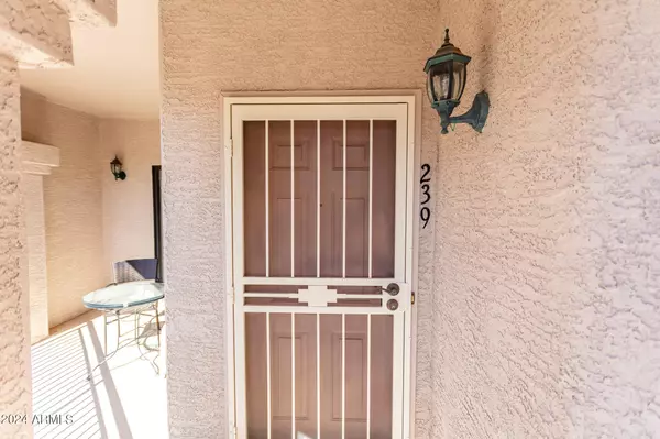 Peoria, AZ 85381,9151 W GREENWAY Road #239