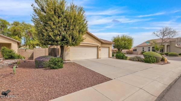 Litchfield Park, AZ 85340,12826 W Alegre Drive