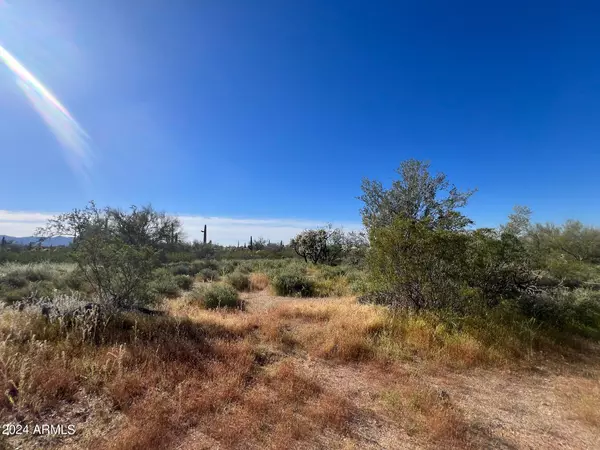 Marana, AZ 85658,0 Hedgehog Trail #' - '