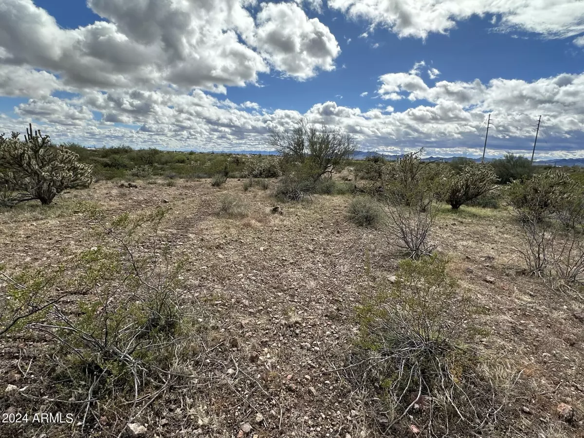 Morristown, AZ 85342,41500 N 251st Ave Lot 1 -- #-