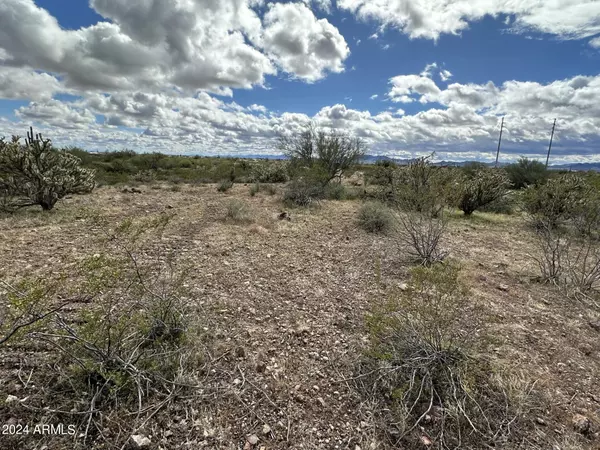 Morristown, AZ 85342,41500 N 251st Ave Lot 1 -- #-