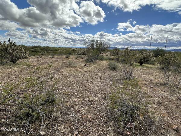 41500 N 251st Ave Lot 1 -- #-, Morristown, AZ 85342