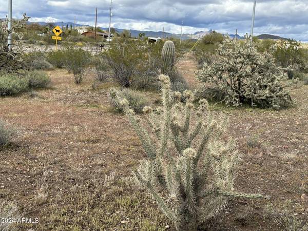 Morristown, AZ 85342,41500 N 251st Ave Lot 2 -- #-