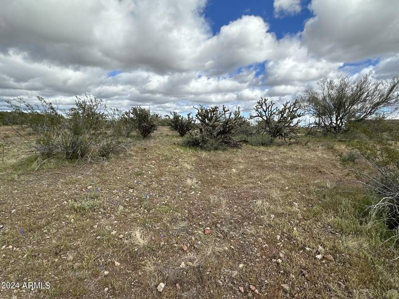 41500 N 251st Ave Lot 3 -- #-, Morristown, AZ 85342