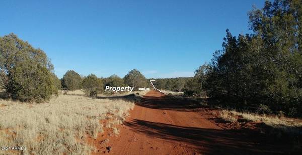 Williams, AZ 86046,8330 Gun Flint Trail