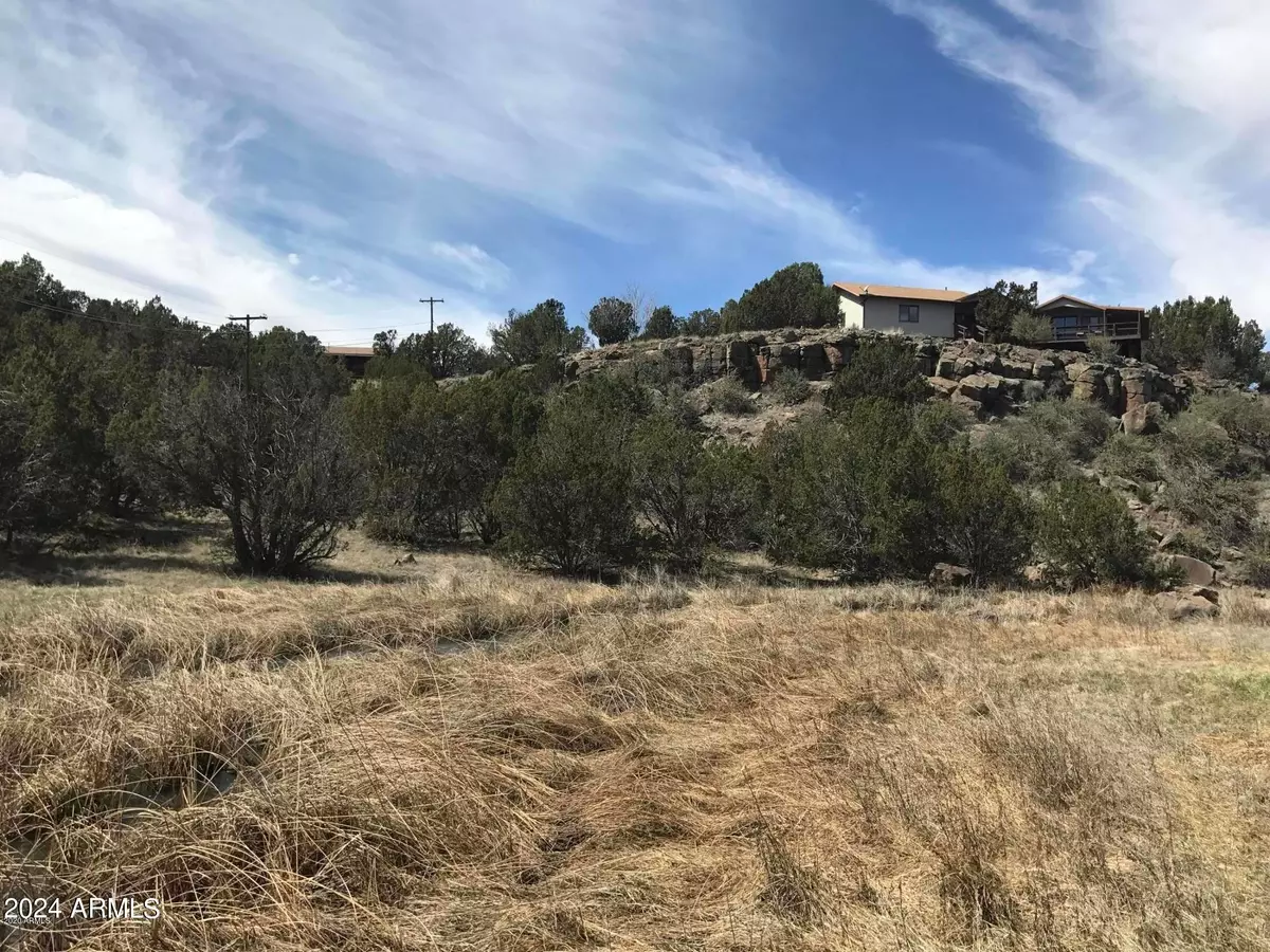 Show Low, AZ 85901,8559 LOVERIDGE Drive #103