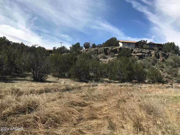 8559 LOVERIDGE Drive #103, Show Low, AZ 85901