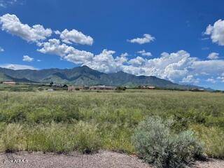 Hereford, AZ 85615,S Coatimundi Drive #18