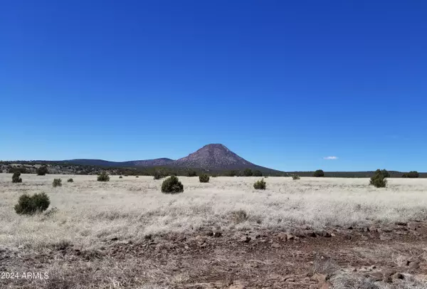 Ash Fork, AZ 86320,206 N Volcano Trail #-