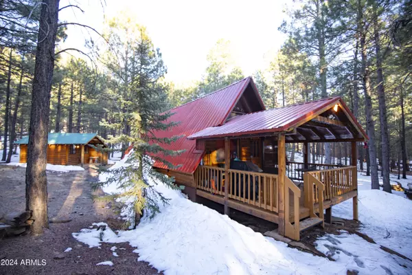 Forest Lakes, AZ 85931,711 TROUT SPRINGS Road