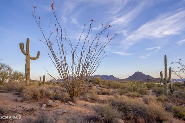 Scottsdale, AZ 85262,28661 N 114TH Street #-