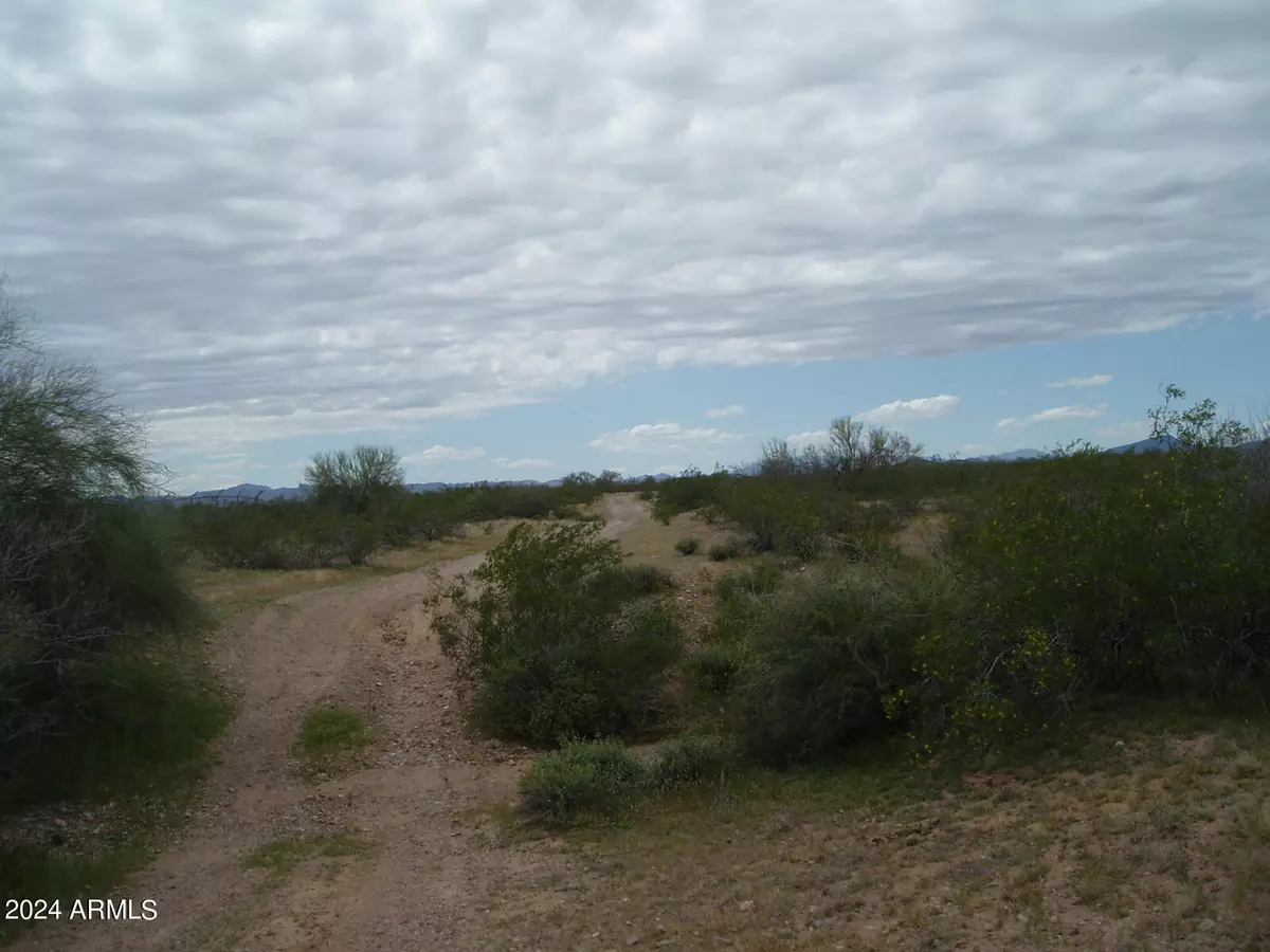 Unincorporated County, AZ 85361,32020 W Radford Road #87