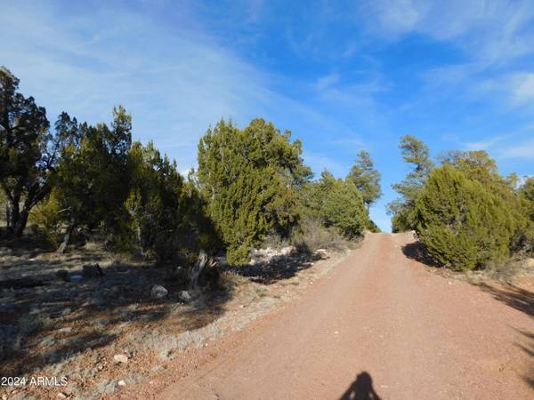 Heber, AZ 85928,1932 ELK Road #-