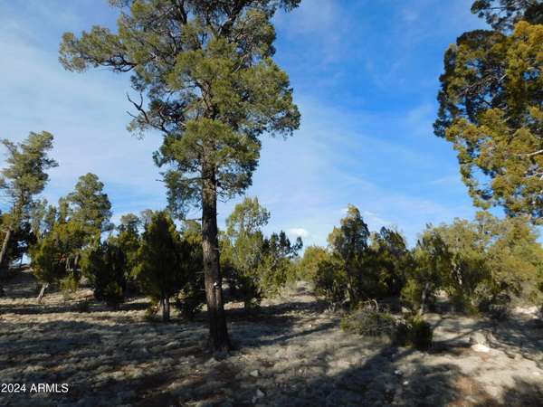 Heber, AZ 85928,1932 ELK Road #-