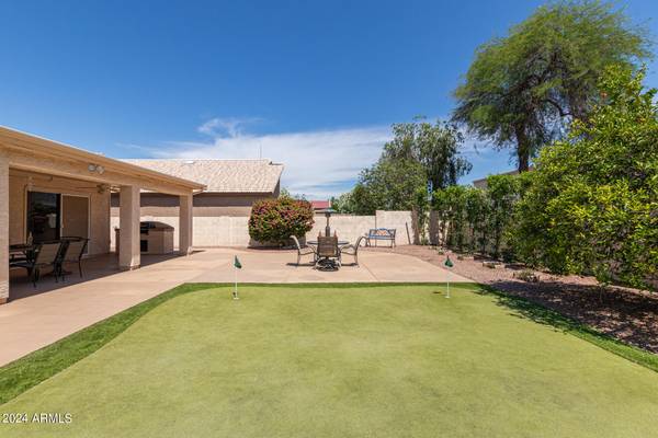 Sun Lakes, AZ 85248,10315 E COOPERS HAWK Drive