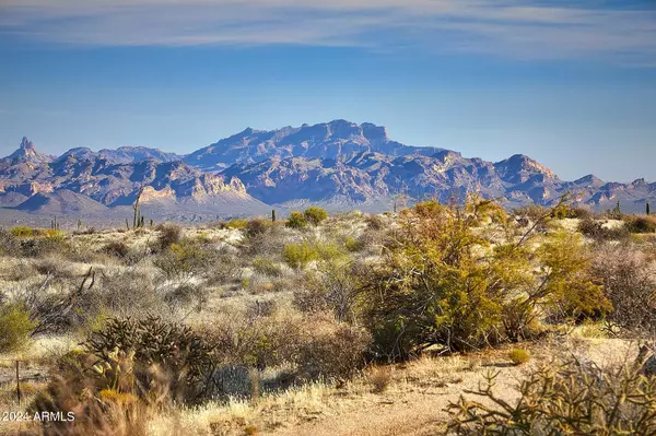 Scottsdale, AZ 85255,12891 E Parkview Lane