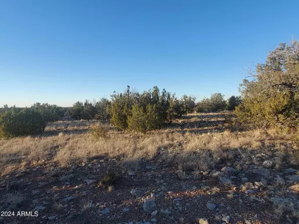 Heber, AZ 85928,11 Buffington Hill Road #737
