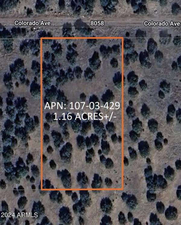 Concho, AZ 85924,4 COUNTY ROAD 8058 -- #-