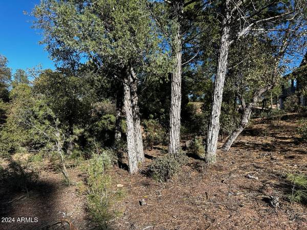 Payson, AZ 85541,110 S CRESCENT MOON -- #294