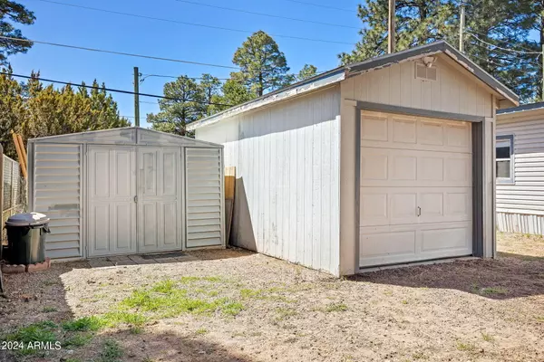 Overgaard, AZ 85933,2065 PINE LAKE Drive