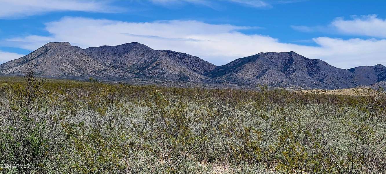 1 Middlemarch Road #1, Tombstone, AZ 85638