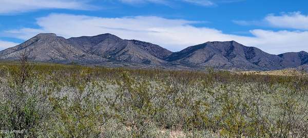 Tombstone, AZ 85638,1 Middlemarch Road #1