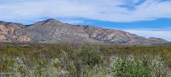 Tombstone, AZ 85638,1 Middlemarch Road #1