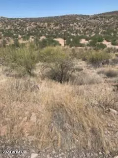 Wickenburg, AZ 85390,0 Mountain Side Loop #12