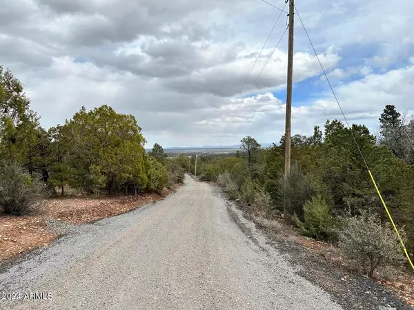 Linden, AZ 85901,0 Timber Ranch Road #<>