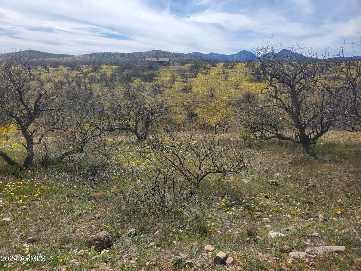 Rio Rico, AZ 85648,1140 HUMBERTO Court #23