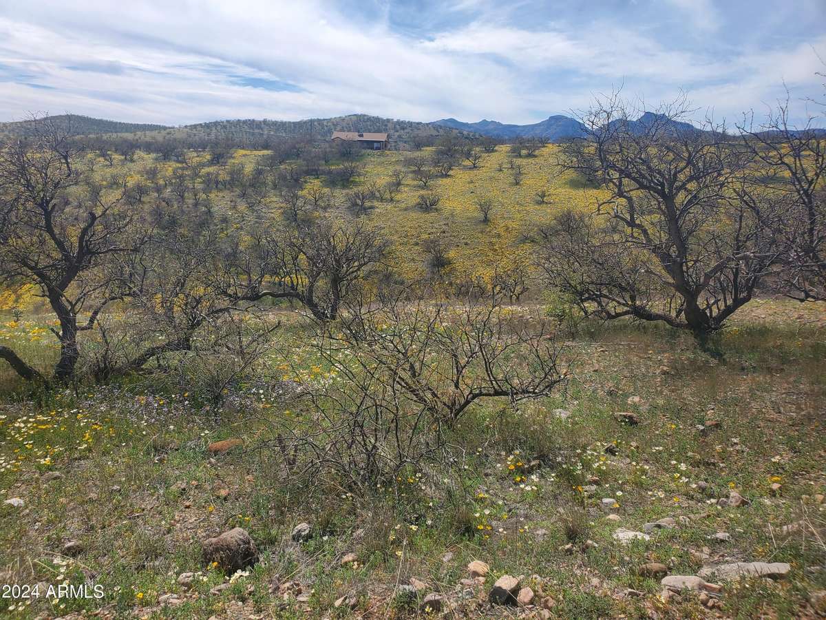 Rio Rico, AZ 85648,1140 HUMBERTO Court #23